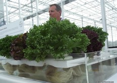 Peter Does vertelt over de slaveredeling