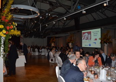 Er waren 290 aanmeldingen voor de Holland Party, een record aantal