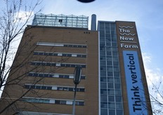 Midden in de stad verticaal telen, je kunt er niet omheen in Den Haag.