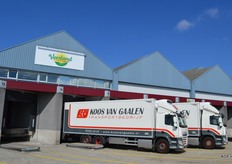 Mooi gepoetste auto's van Koos van Gaalen.