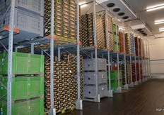 2000 palletplaatsen. Deze zijn verdeeld over negen koelcellen, 2 hoog met systemen van van Kempen Koudetechniek.