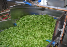 Product wordt op de waslijn gestort.