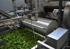 Waterbad met veldsla.