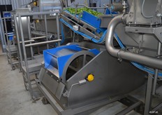 De vuile veldsla, rucola of spinazie komt vervolgens op een transportband waar vuil en zand wordt afgeklopt.