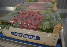 En wordt dan voorzien van een afdekfolie.