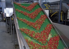 Het product wordt door een van meenemers voorziene transportband naar een rollenband getransporteerd.