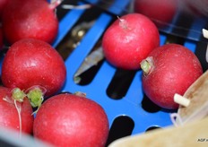 Een machine waarin mesjes zijn gemonteerd.