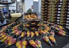 De radijs wordt verpakt in bijvoorbeeld een 125 gram puntzak