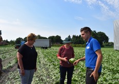 Bauke keurt de ijsbergsla die zojuist is geoogst door Peer Schraven