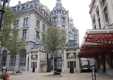 Tussen het congres en het diner was er nog even tijd om naar de ZOO van Antwerpen te gaan. Deelnemers van het ISC mochten gratis een uur de dierentuin bezoeken.