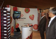 Hoe worden de aardbeien geoogst?