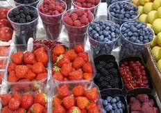 Zachtfruit, verschillende soorten en mooi van kwaliteit