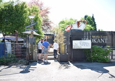 Een lunch bij Krokant met fish, chips en more