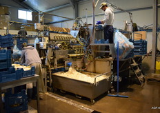 Topdrukte in aspergetijd, van 6 tot 23 uur zijn de medewerkers in touw tijdens het hoogseizoen