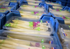 Reguliere asperges staan klaar voor transport