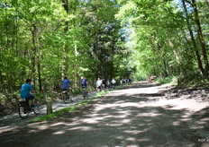 Chefs fietsen door de Brabantse heuvels richting aspergevelden