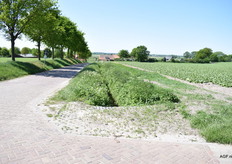 Uitzicht vanuit het hoogste punt op de laaggelegen polders.