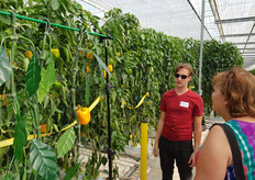 Ruud Barth geeft uitleg bij de testopstelling met plastic paprika's waarmee in eerste instantie veel getest is.