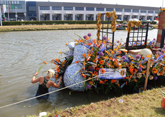 Als het vanaf de wal niet kan, dan toch in het lekker verkoelende water