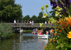 Eén van de vele bruggen, dus bukken maar!