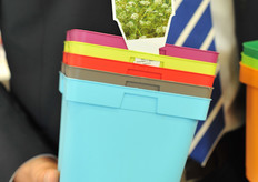 New trendy colors at Poppelmann.