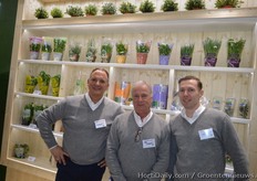 Mediane - Robert van der Laan, Peter van Tolingen en Mike Leistikow.