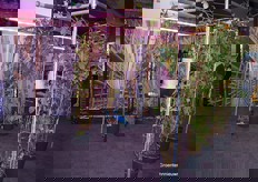 De nieuwe no-nonsense belichting voor bramen van Luminaid