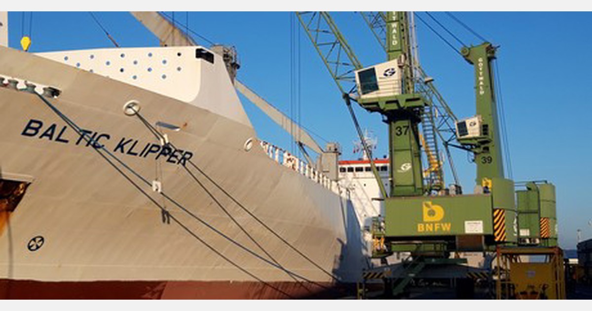Twee keer zoveel lychees bij Belgian New Fruit Wharf Zeebrugge als