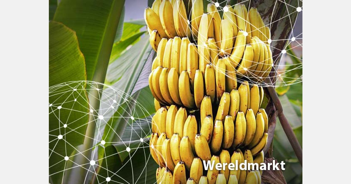 dynamisch vliegtuig mechanisme Overzicht wereldmarkt bananen