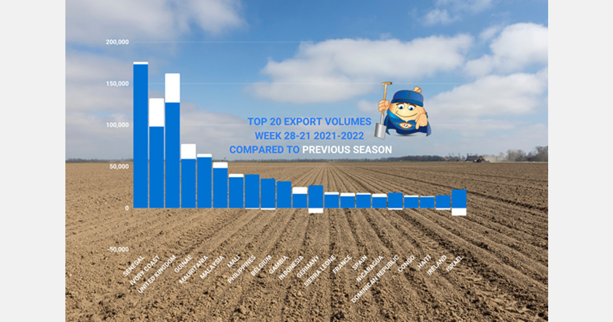 Peningkatan lain dalam ekspor bawang Belanda