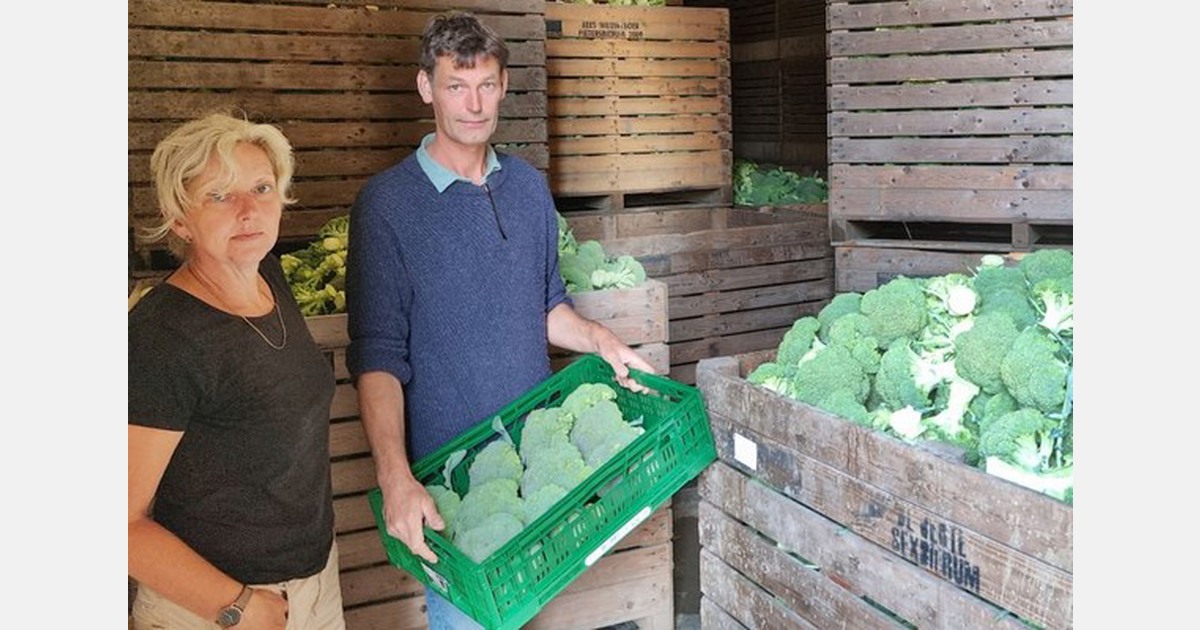 Poiesz koopt de tienduizend kilo biologische broccoli, bestemd voor de composthoop, van Friese teler