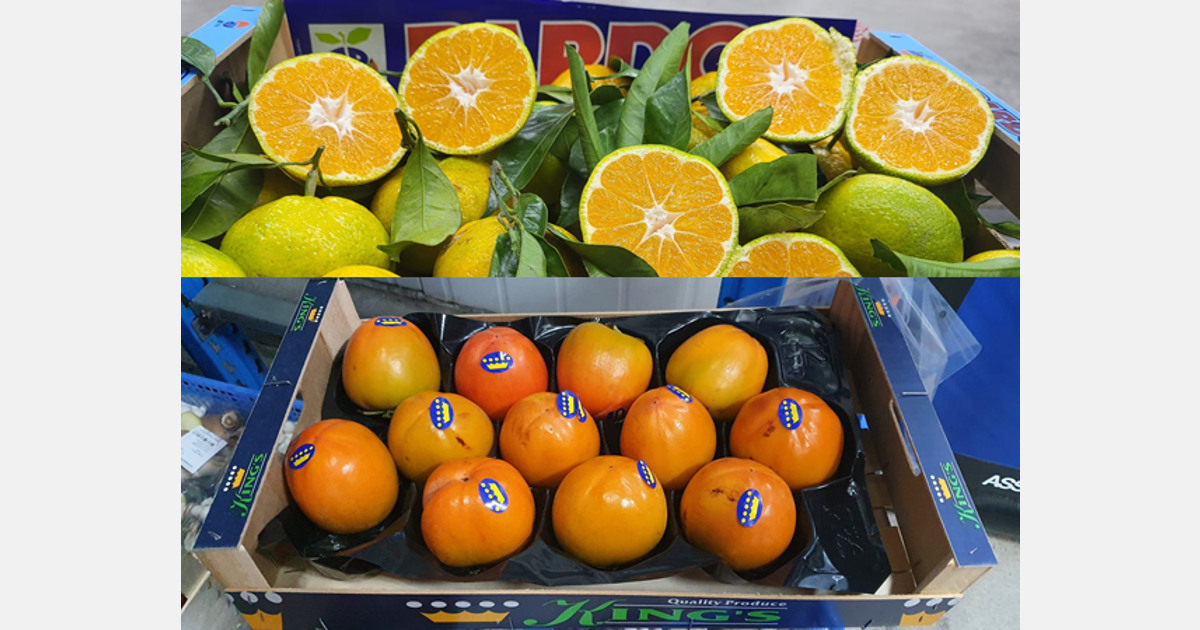“Goode vraag naar Spaanse mandarijnen en kaki’s, citroenenmarkt nog wat ondoorzichtig”