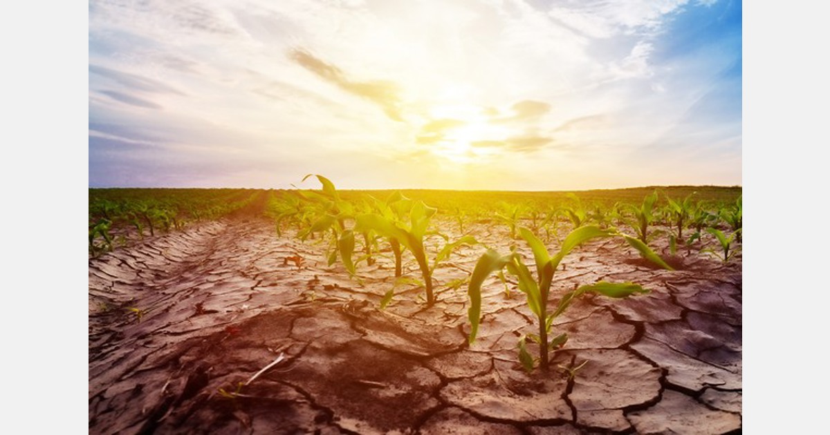 “Le condizioni meteorologiche estreme nel Sud Europa espongono la vulnerabilità del settore agroalimentare”