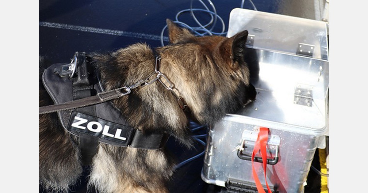 Der deutsche Zoll kann ab sofort auch volle Container mit einem Drogenspürhund kontrollieren