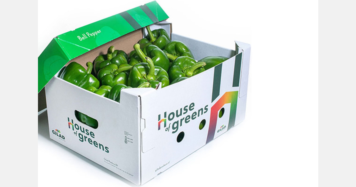 “Good demand for Spanish and Israeli peppers from US and Canada”