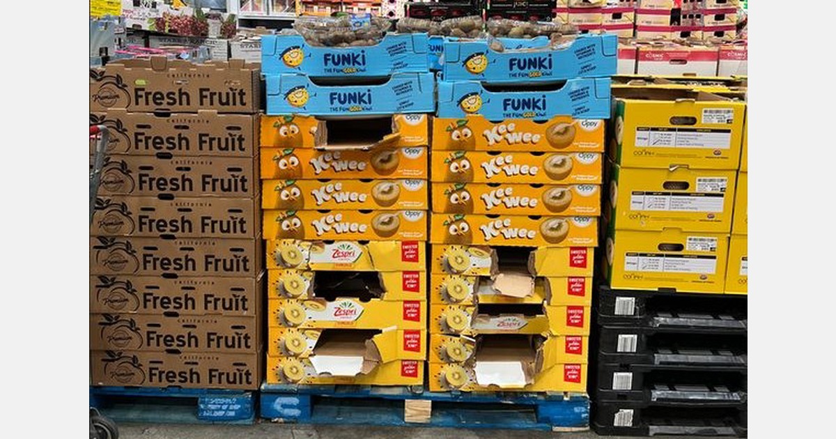 Sophie de Lantsheere