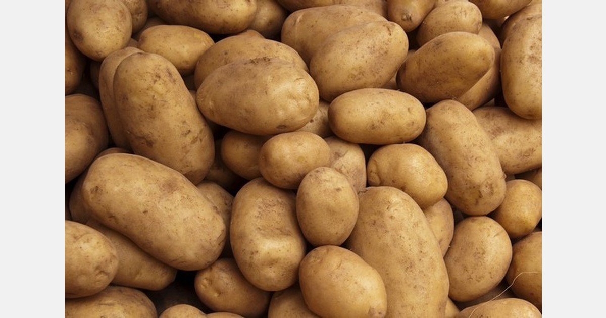 Beurzen Wieringermeer en Leeuwarden voegen aardappelnoteringen samen