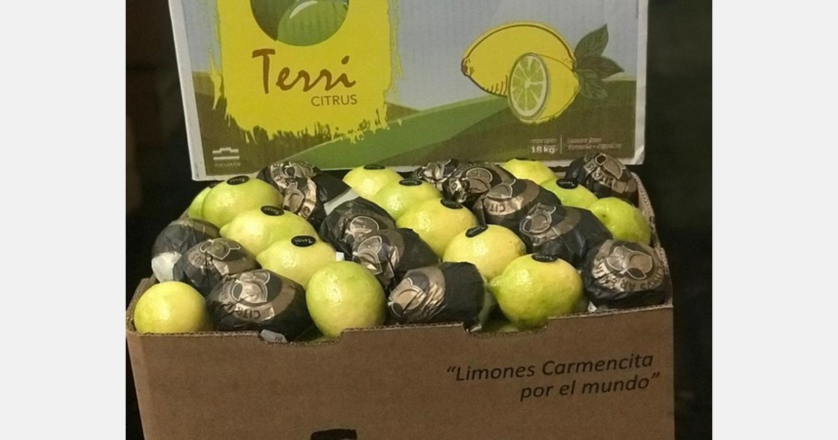 Terry Citrus menaruh harapan besar pada panen lemon Argentina 2022