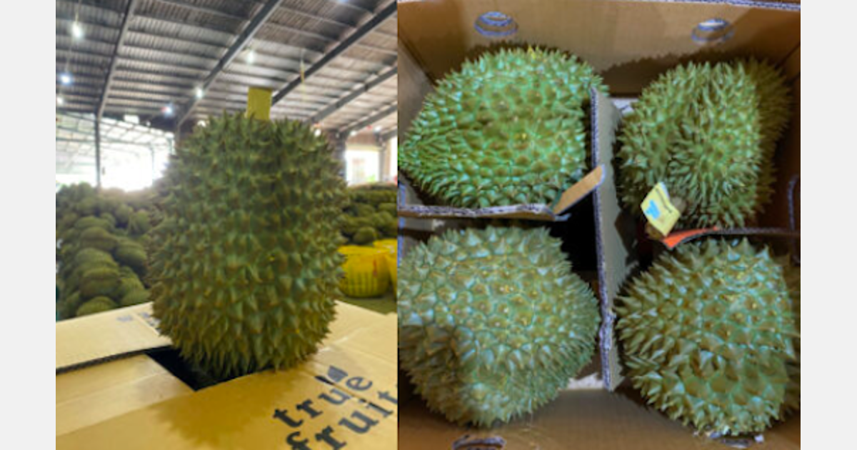 Durian Vietnam memasuki pasar baru