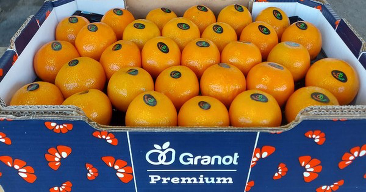 Minder citrus en uitdagender seizoen in Israël