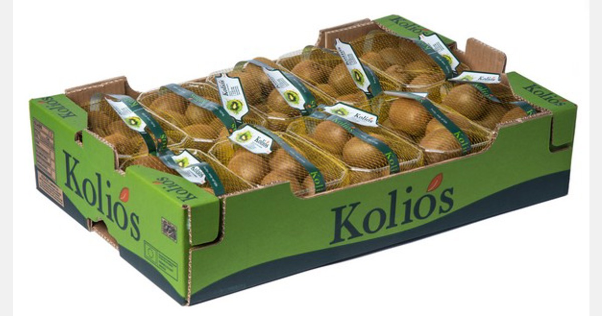 “Tantangan utama bagi eksportir buah kiwi Yunani adalah kelebihan pasokan dan permintaan yang rendah”
