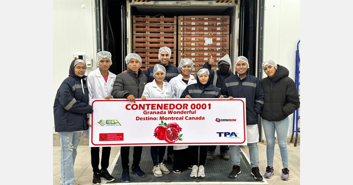 A new Peruvian pomegranate producer has completed its first export season