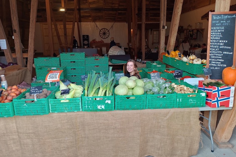 Lage groenteprijzen grootste uitdaging Noorse telers