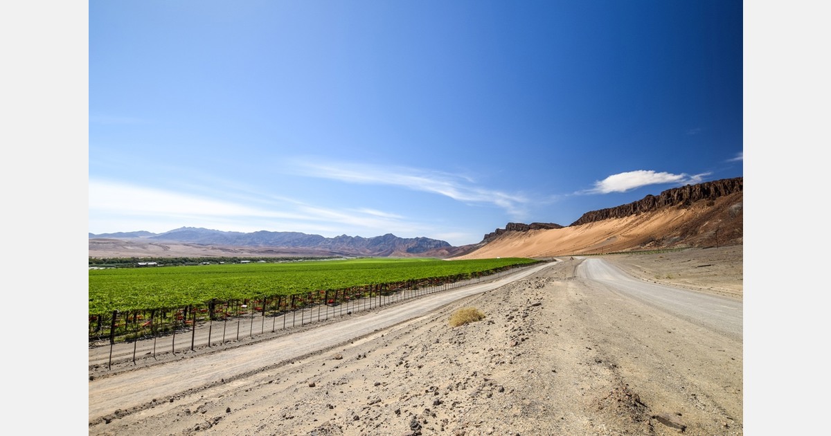 Grens open voor Namibische koelcontainers: handel stroomt weer richting Kaapstad