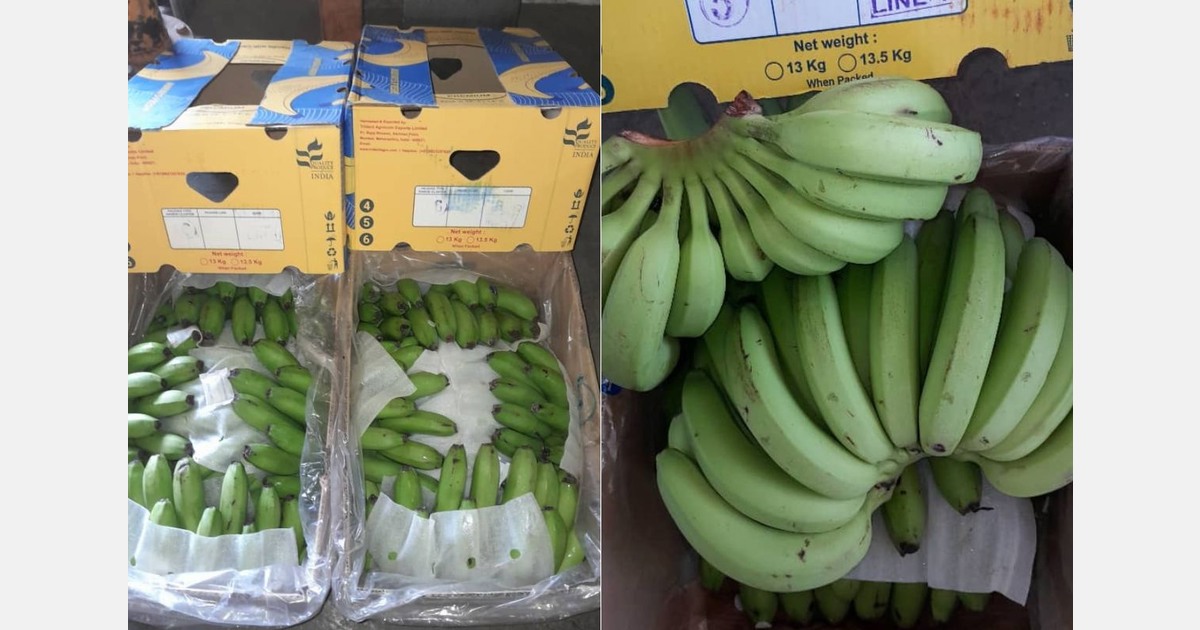 Iraanse bananenimport gekoppeld aan appelexport: balans tussen handel en valuta