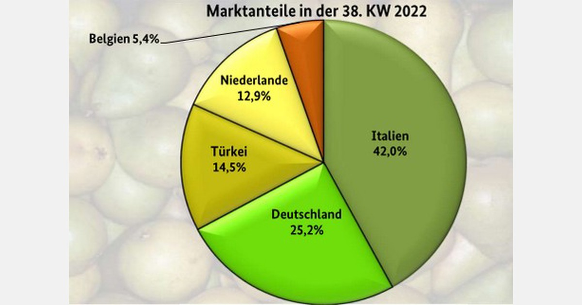 Santa Maria, Abet Vettel e Williams Crist hanno avuto il sopravvento’