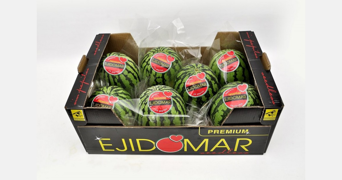 Watermeloenoogst in Almería staat op het punt te beginnen