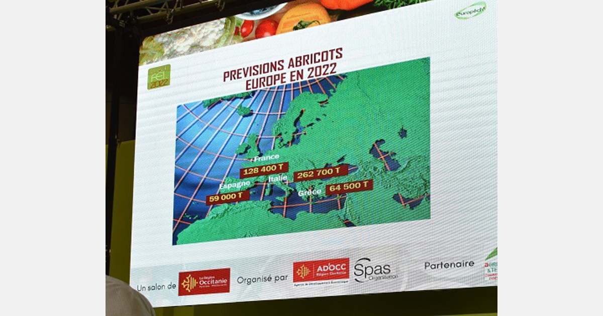 “Raccolto europeo stimato di albicocche +31%”