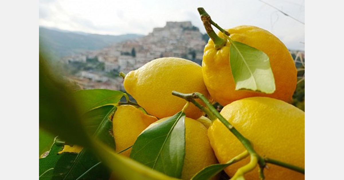 La cooperativa del Sud Italia mette in primo piano il limone di qualità