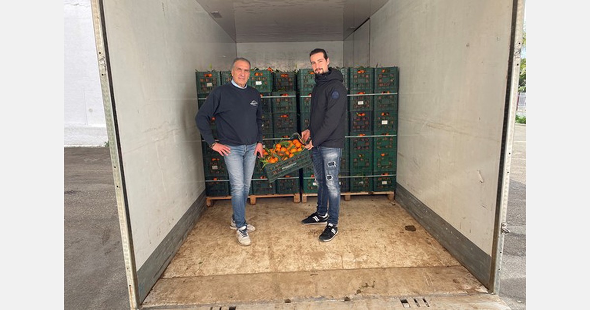 Il comune italiano Clementine è ancora sul mercato da un mese